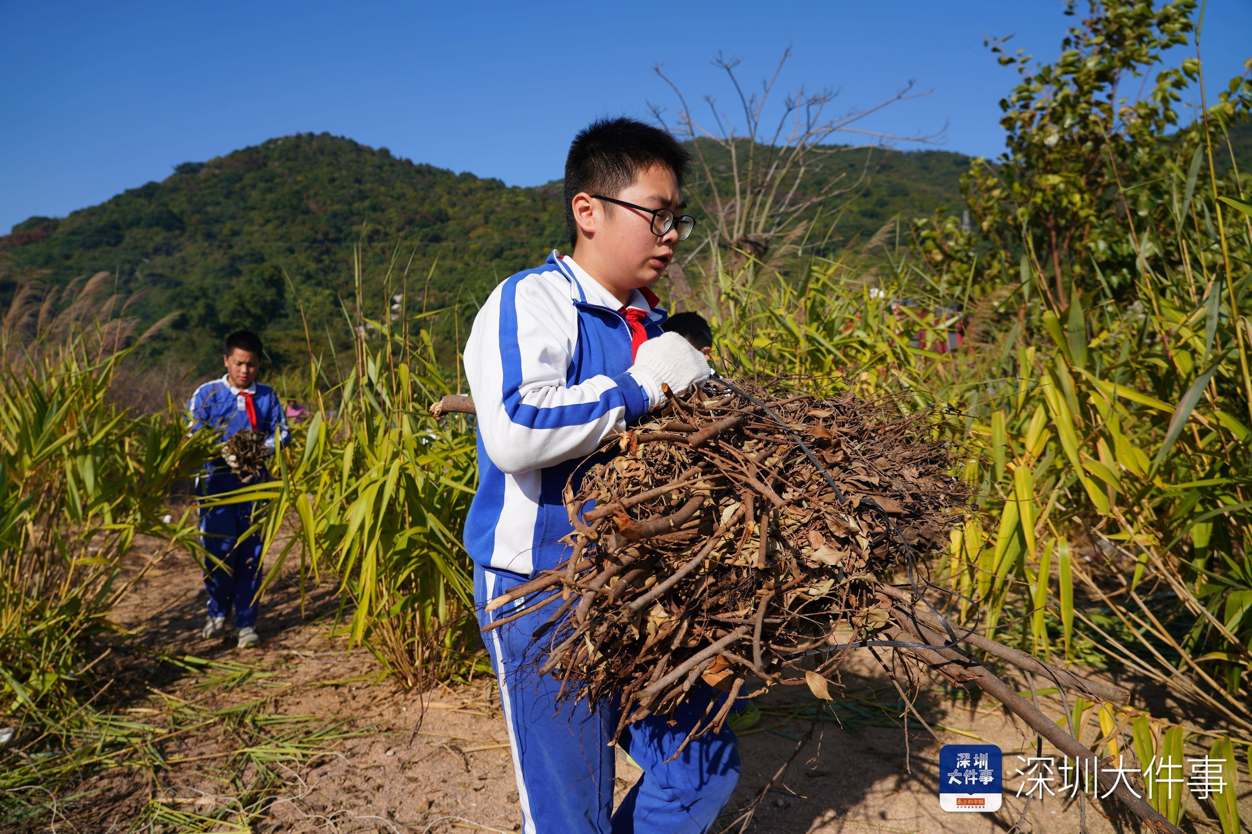 把課堂搬到野外！深圳小學生野炊“畢業考”真香