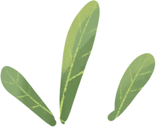 2025年東城區戲劇普及交流專案“劇匯生活”回顧 | 80場活動解鎖戲劇的N種開啟方式