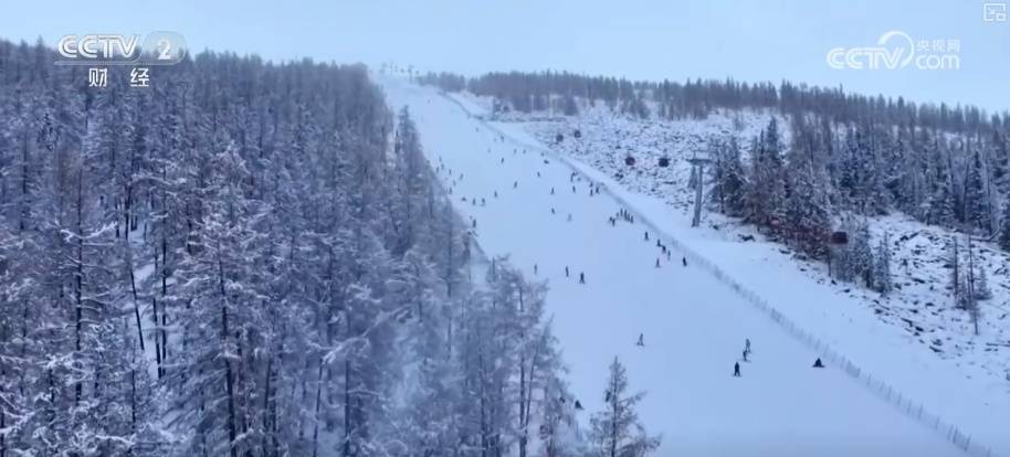 返鄉、探親、學生與旅遊度假客流疊加 春運航空出行需求旺盛