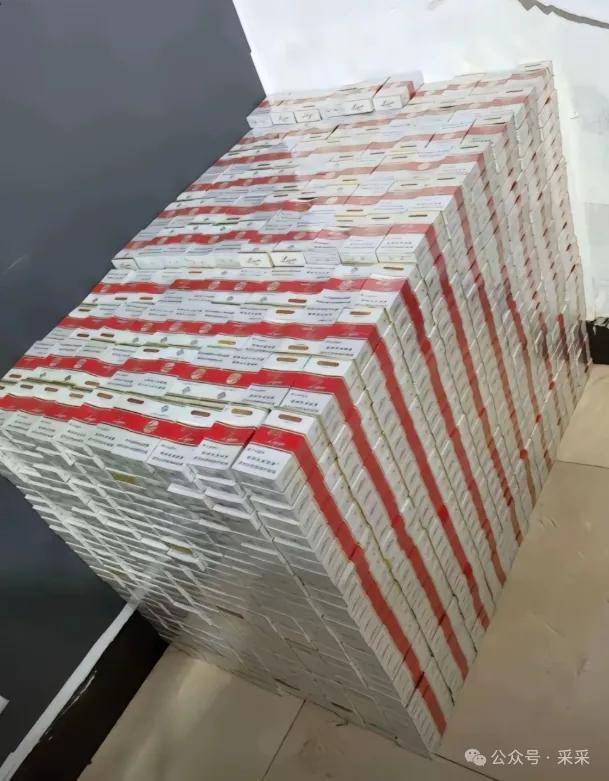 好一個八離世家，奇奇怪怪的收藏合集