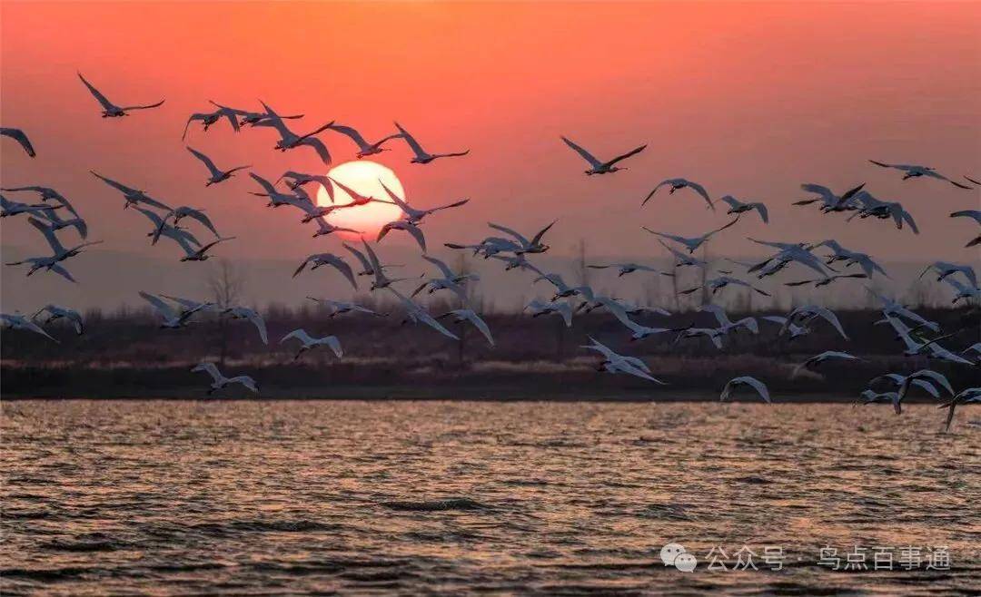 國際旅遊攝影網2026年國內外攝影路線全景指南