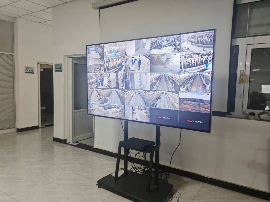 【科技特派員】牛興福：以智慧養殖賦能鄉村振興