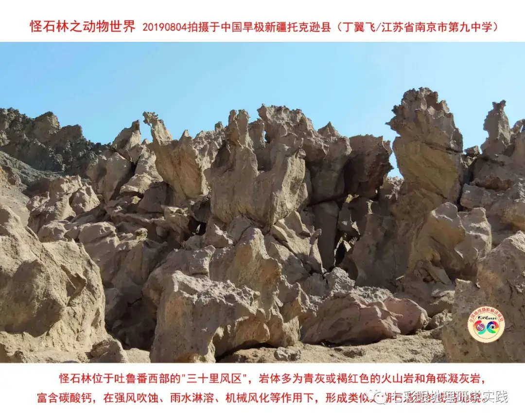 200個地理閱讀和命題的好素材