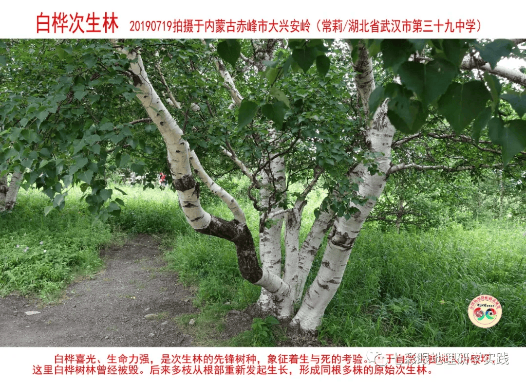 200個地理閱讀和命題的好素材