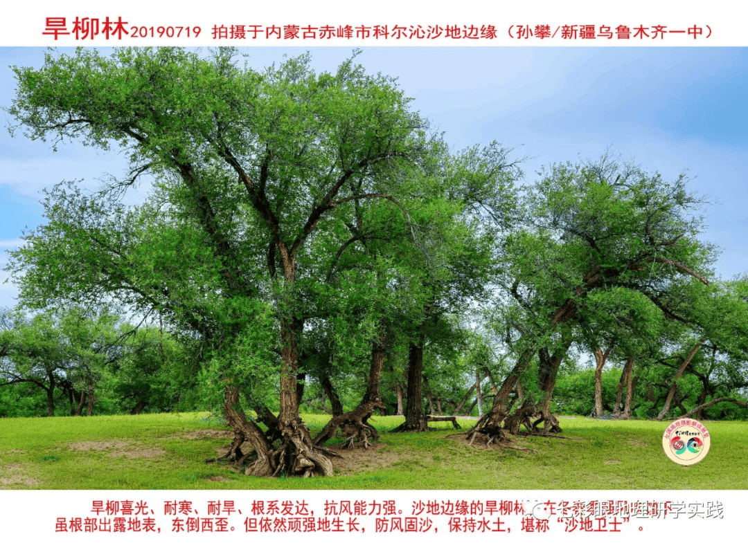 200個地理閱讀和命題的好素材