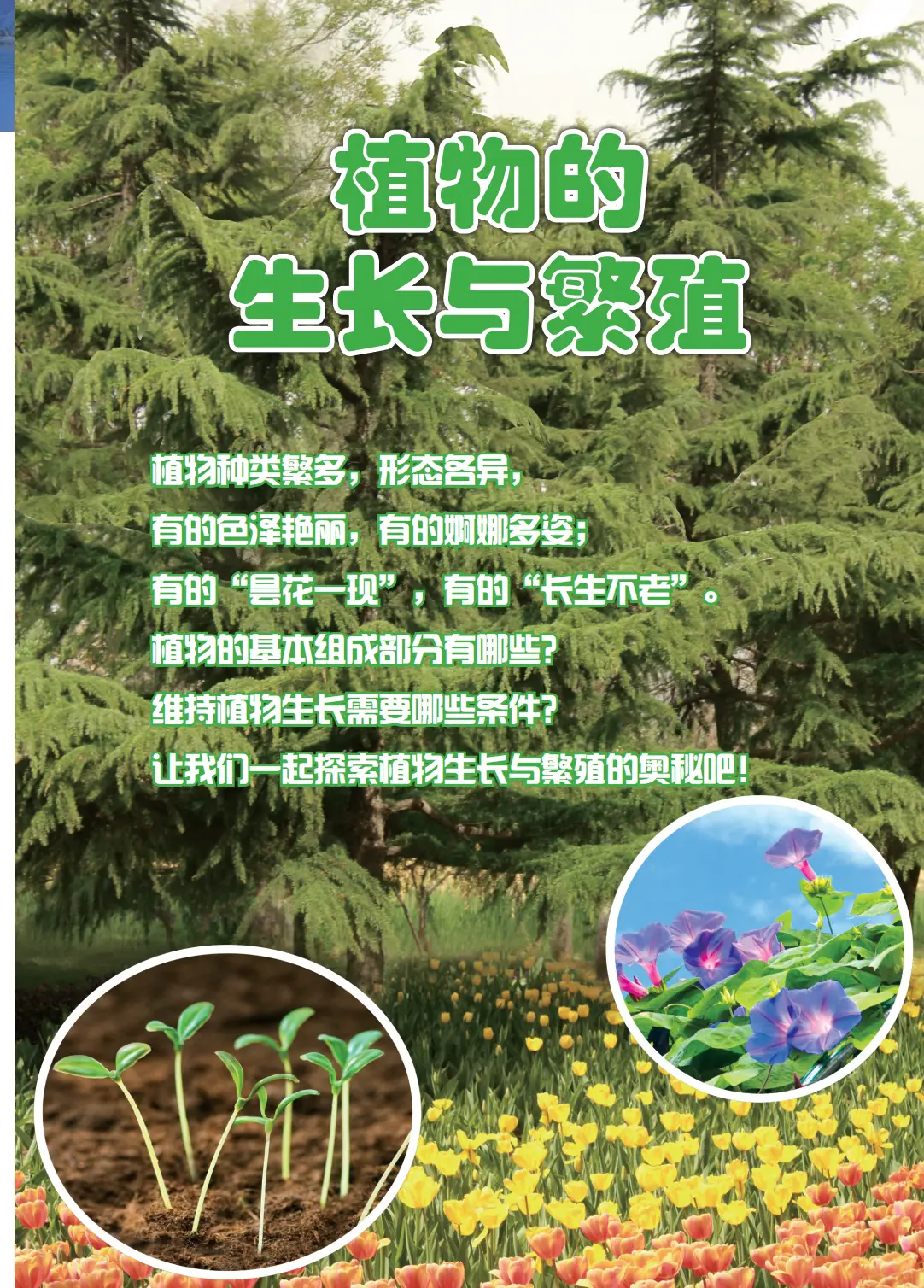 2026冀人版四年級科學下冊電子課本(PDF高畫質版新教材)