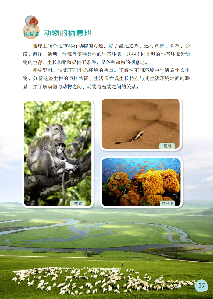 2026粵教版六年級科學下冊電子課本(PDF高畫質版新教材)