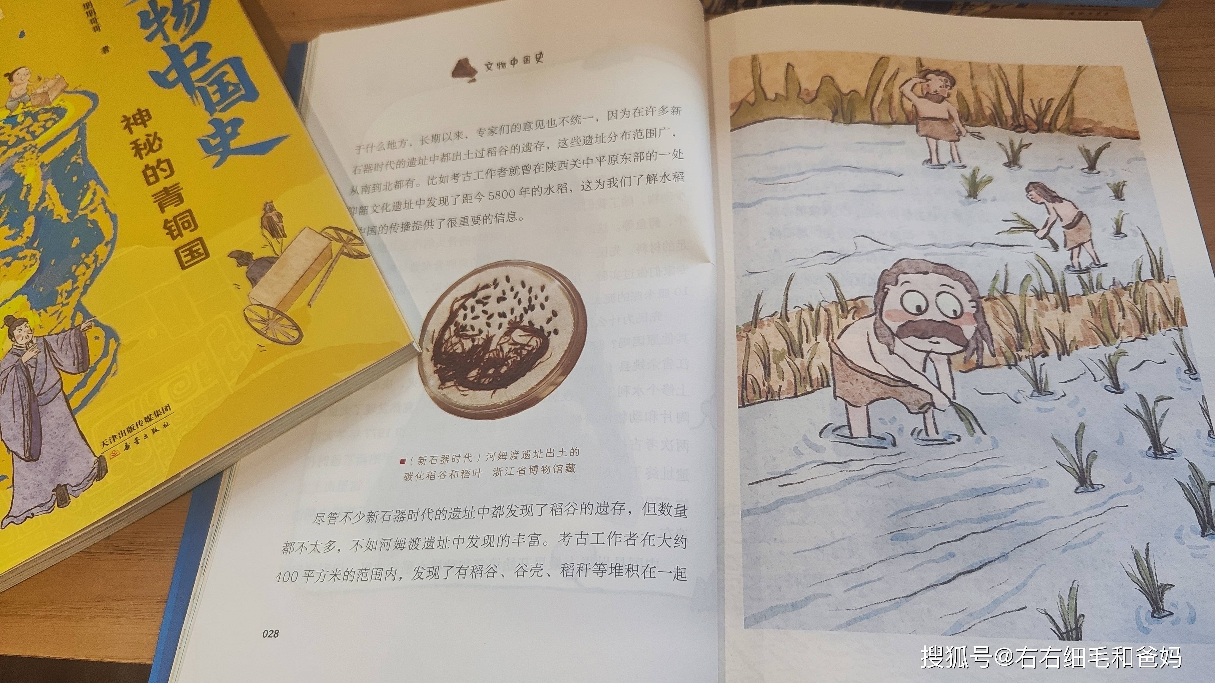 原創中考歷史開卷反而丟分？86分敲響警鐘：小學欠的賬，初中藏不住