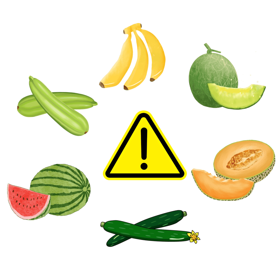 春節聚餐，當心這些美食讓你過敏 | 首都除夕護衛健康