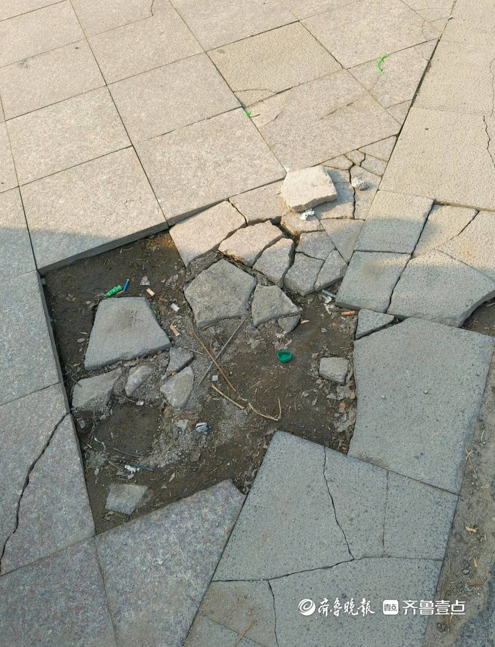 情報站·隨手拍|濟南濟陽一公園廣場多處地板破損，市民盼修復