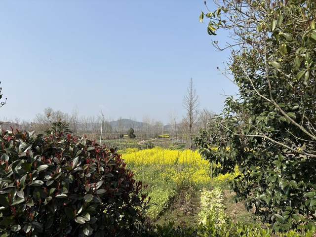 遊歷雅記：風渡柳湖，山河敘語——感人至深的移民故事