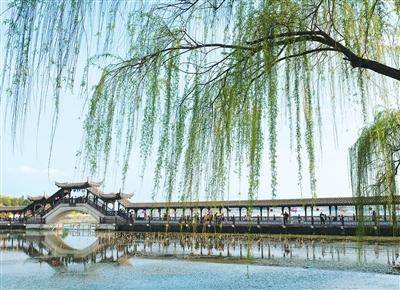 旅遊市場春意盎然