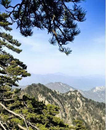 河南廣電×河南旅遊集團 聯合推薦清明省內周邊遊（下）