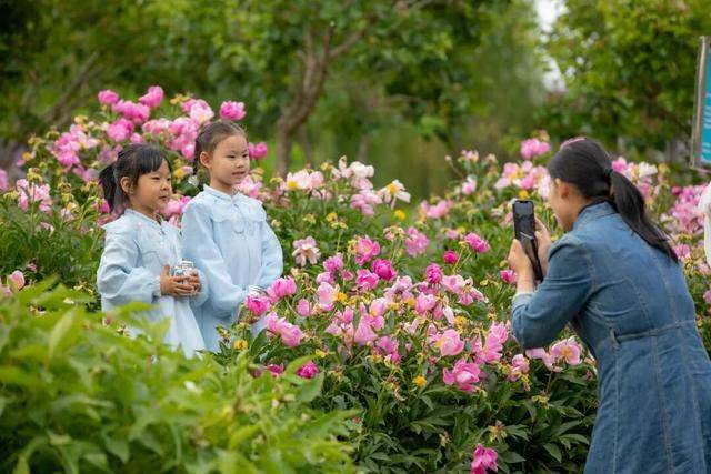 清明假期遛娃天花板！來臺兒莊古城解鎖親子“玩中學”的春日童話~