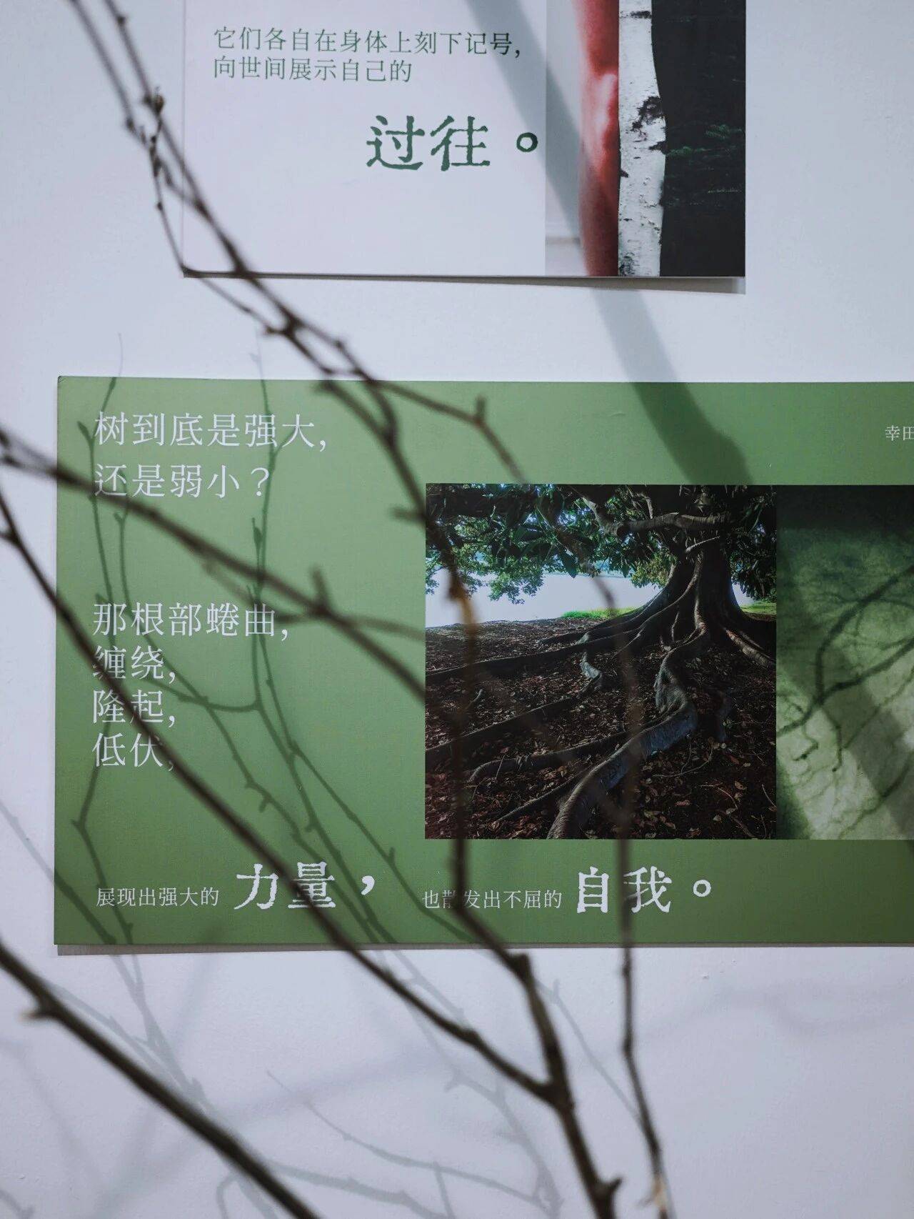 我是最小單位的自然，做書圖書市集出攤！