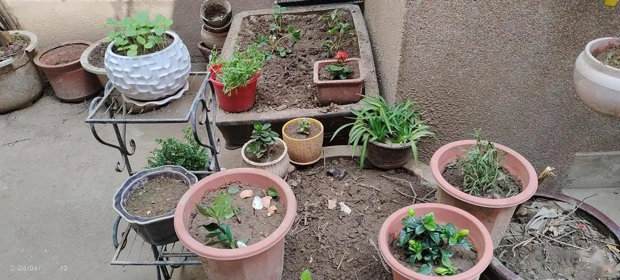 開啟租房新生活