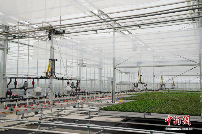 雲南省花卉示範園區一高科技溫室正式啟用