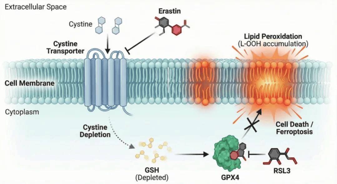 再也不擔心論文！Nano-Banana Pro 論文繪圖最全教程出書了！