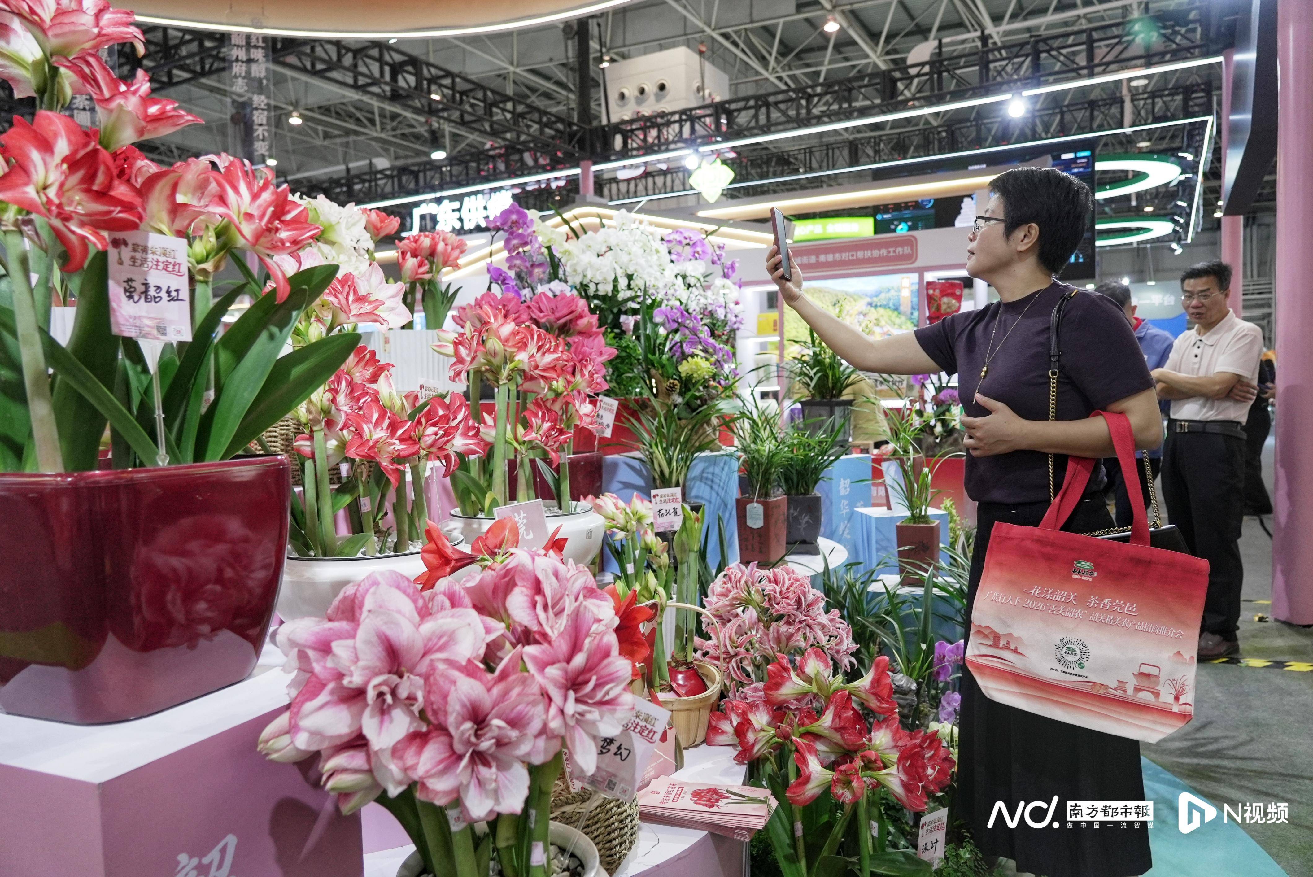 連續三天！在東莞，一站式嚐遍全球美食