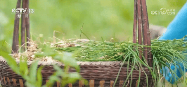 各地限定春鮮解鎖“舌尖密碼” “特色美食+文旅”延伸消費鏈條