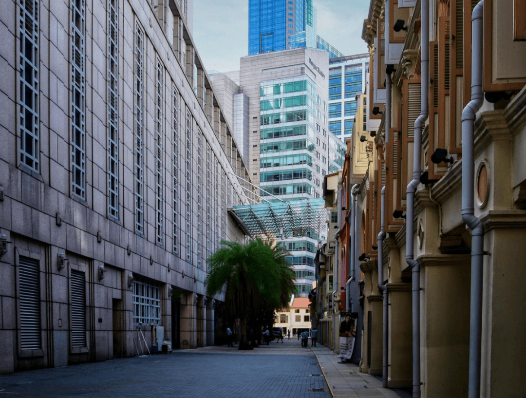 中國香港VS日本VS新加坡，“家門口的留學”怎麼選？