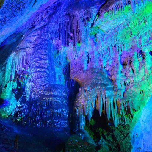 春假，螢火蟲水洞.地下大峽谷旅遊區“野味”十足！